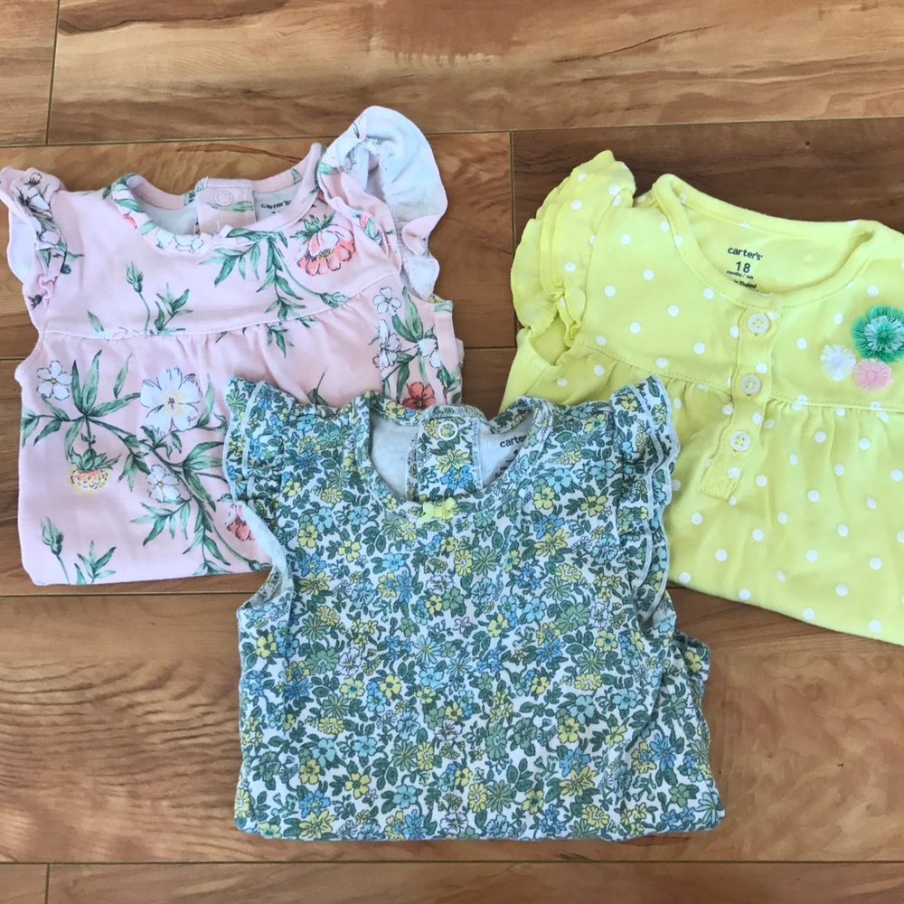 Lot of 3 Carters Spring Onesies
